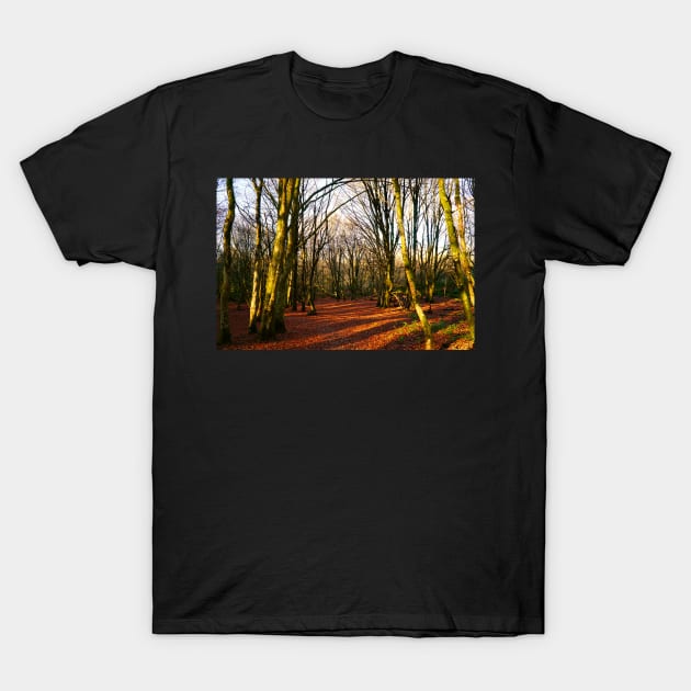 Autumn/Fall Trees & Leaves T-Shirt by Harmony-Mind